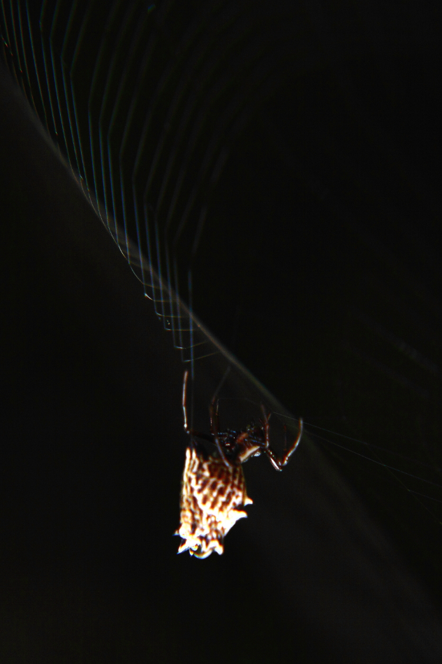 2012 08 16 9999 6e