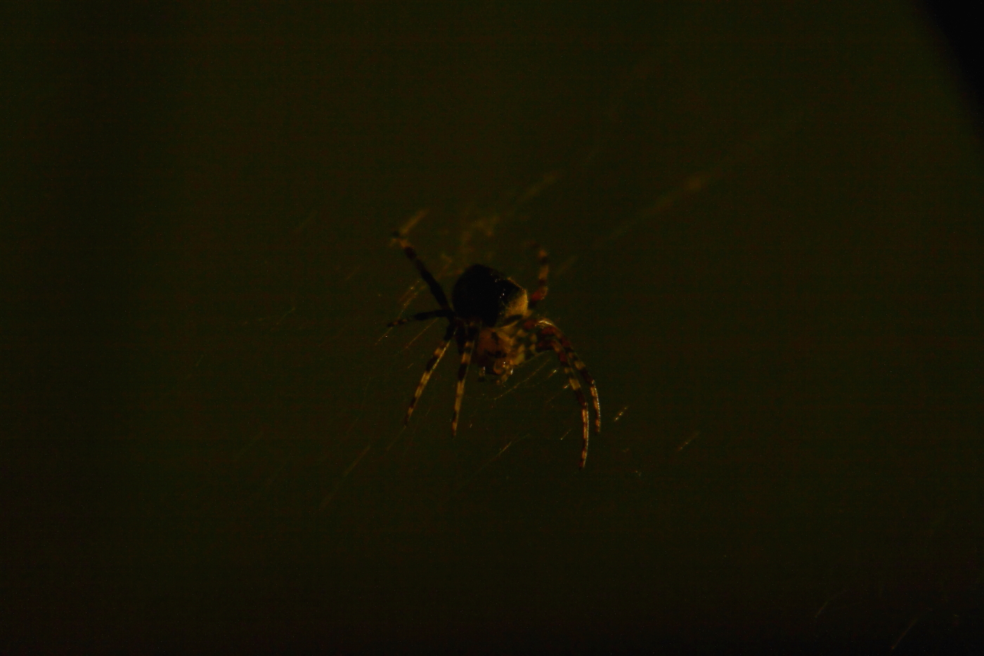 2012 08 20 9999 7e