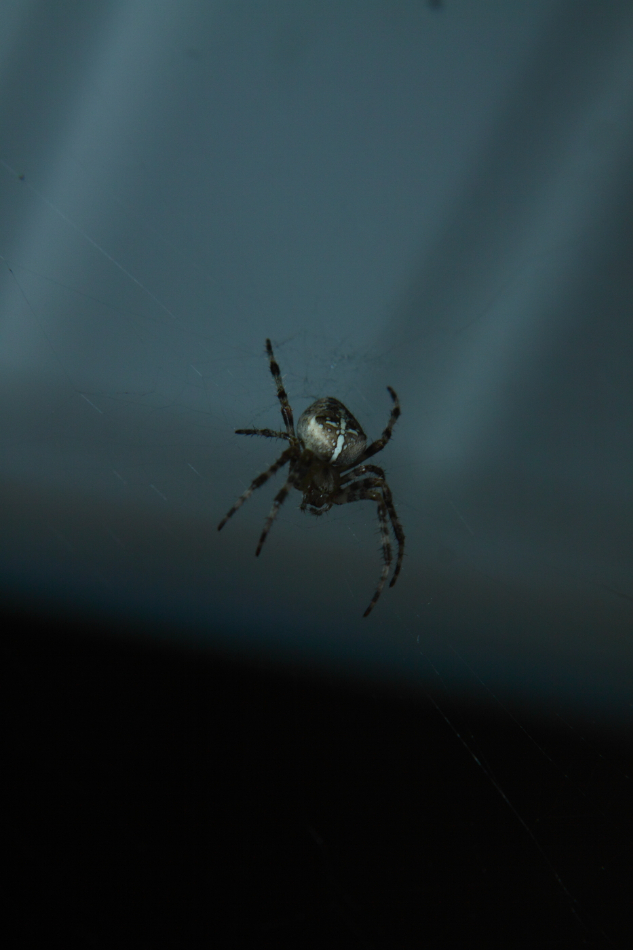 2012 08 20 9999 8