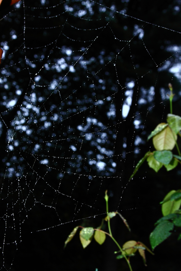 2012 09 04 9999 9e