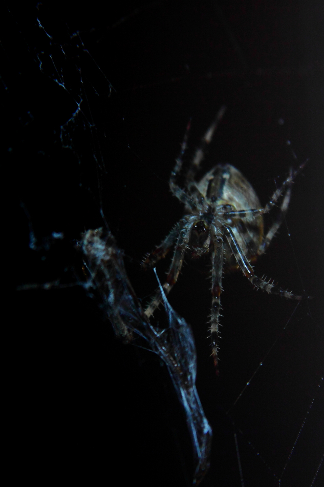 2012 09 28 9999 16e
