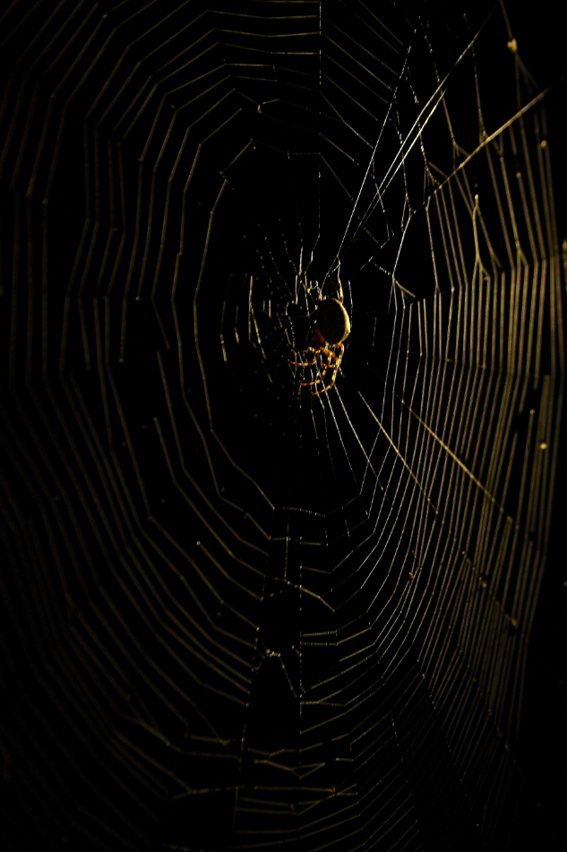 2012 09 29 9999 22e