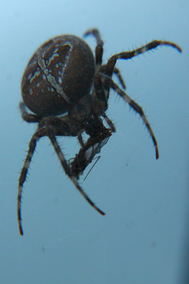 2012 10 04 9999 63e