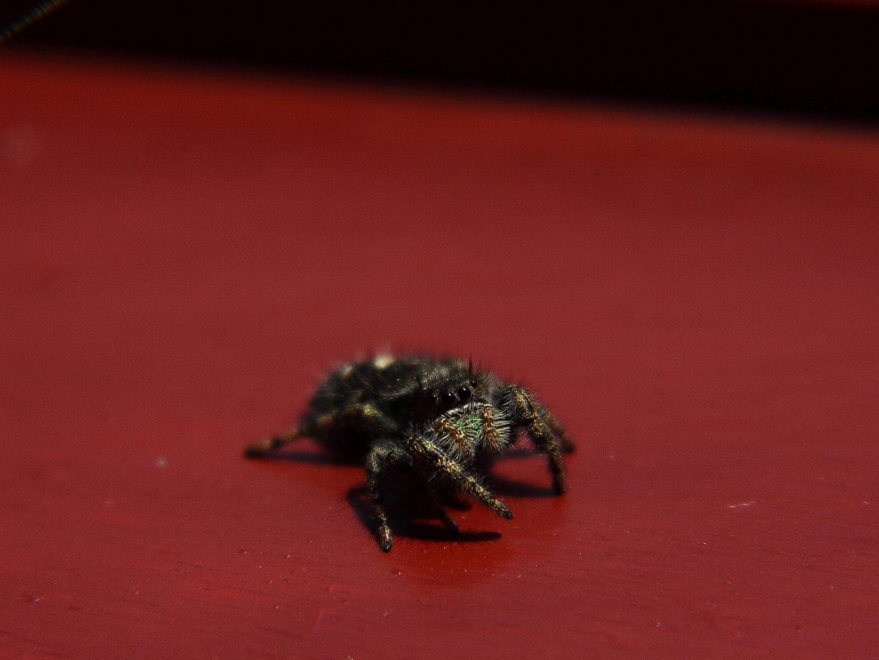 2013 04 28 IMG 04459e
