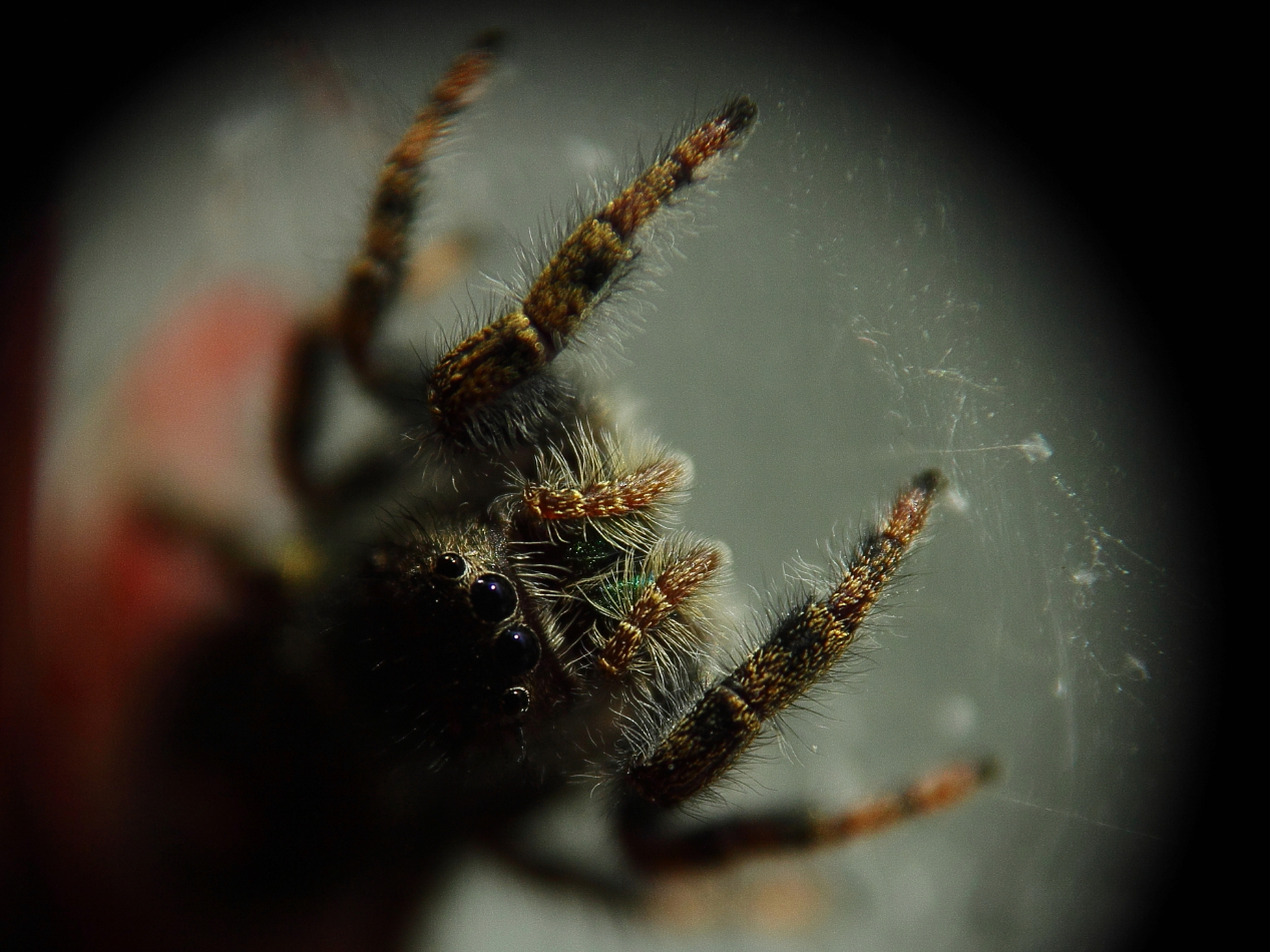 2013 04 28 IMG 04467e