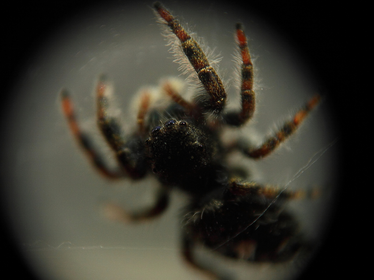2013 04 28 IMG 04481e