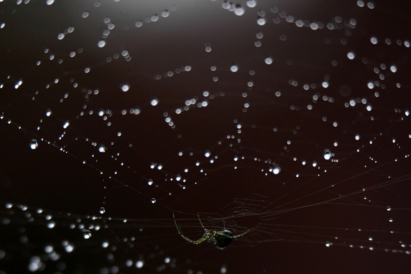 2013 06 11 IMG 10234e