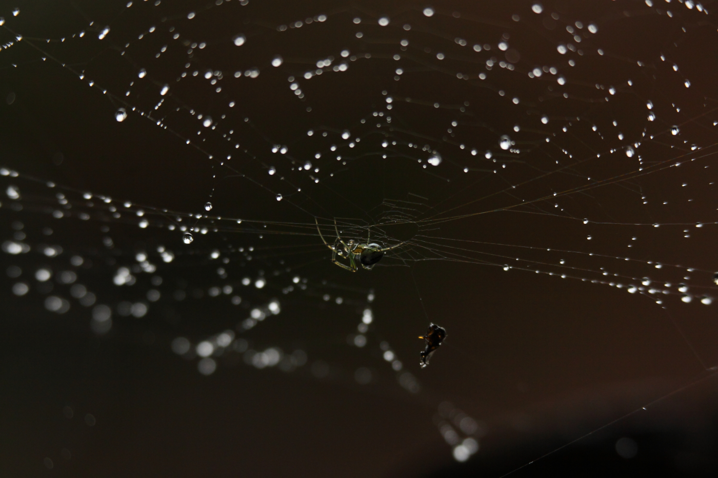 2013 06 11 IMG 10235