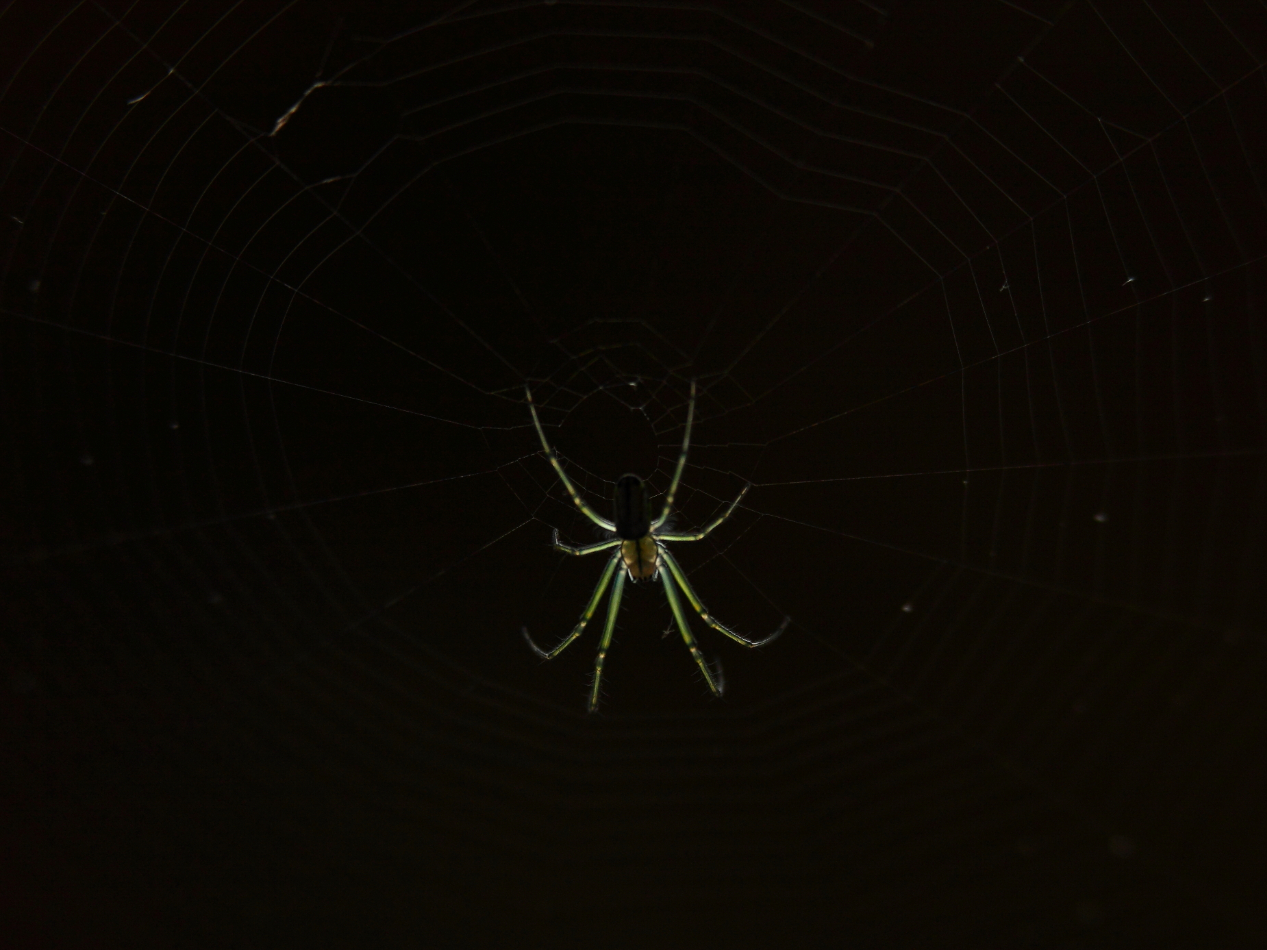 2013 06 13 IMG 10531e