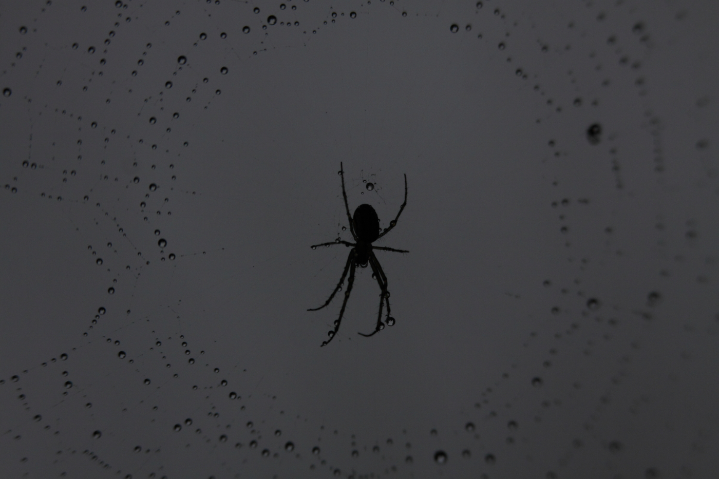 2013 06 18 IMG 11234