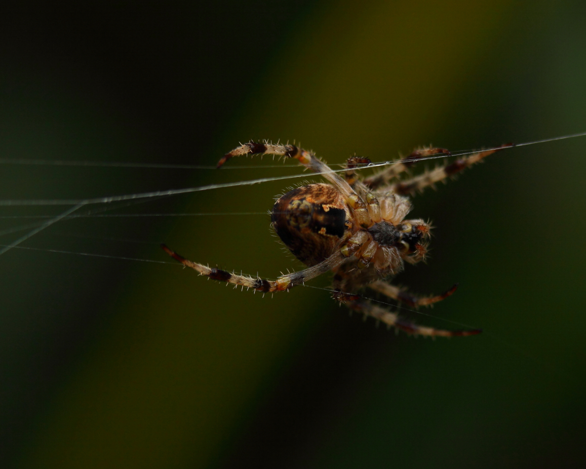 2013 09 01 HTP 04629e