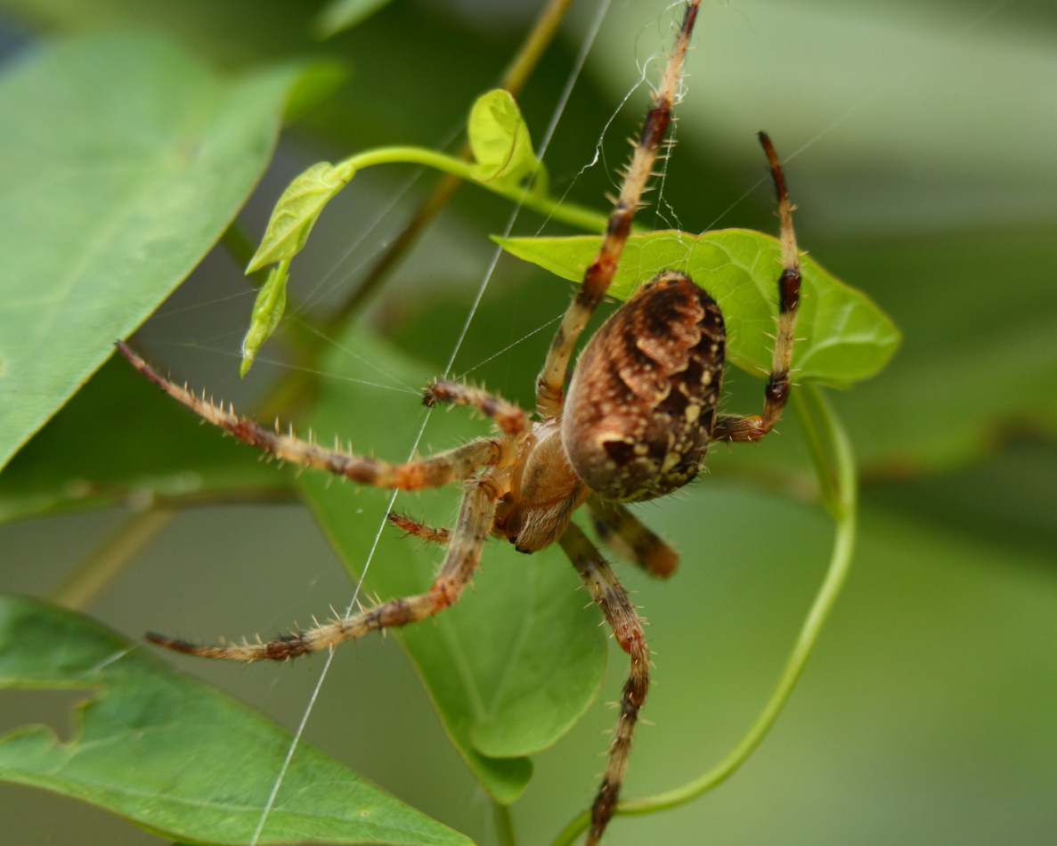 2013 09 01 HTP 04650e