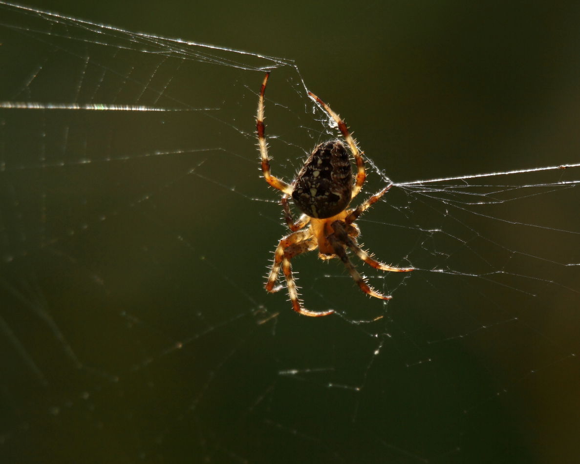 2013 09 01 HTP 04761e