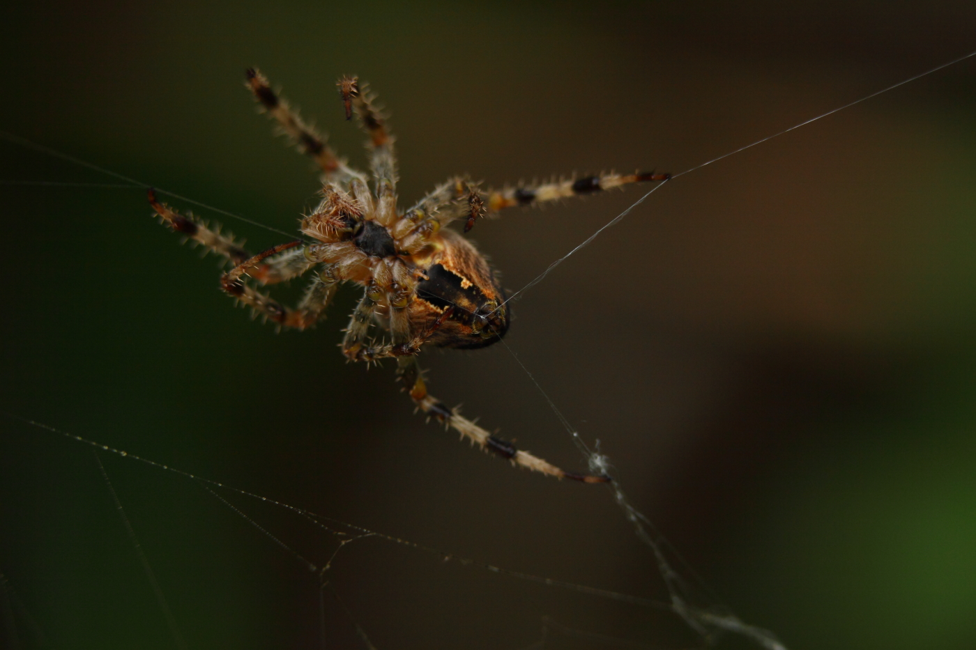 2013 09 01 HTP 04941