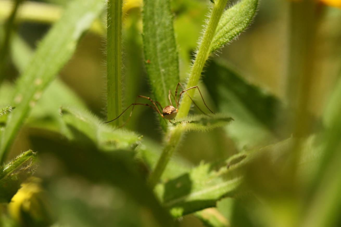 2014 06 28 HTP 66510