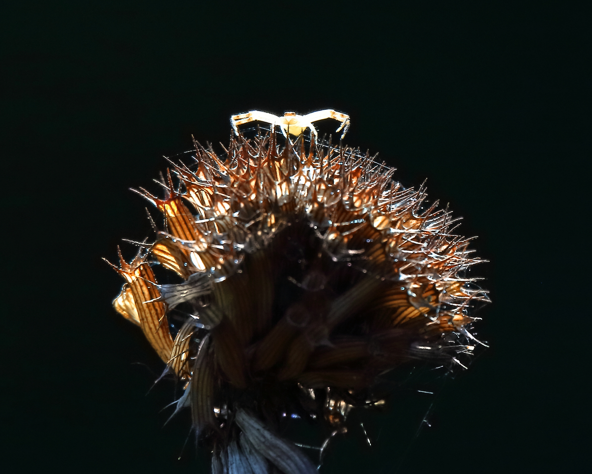 2019 10 24 HTP 90610e