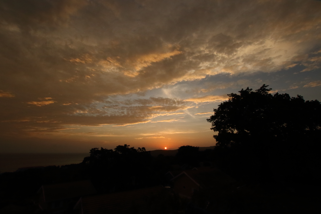 2015 08 30 HTP 03351
