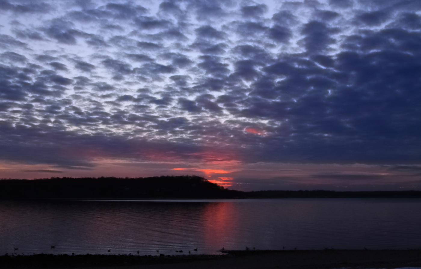 2010 01 13 IMG 6525e