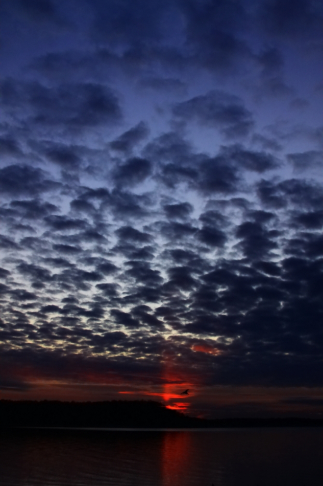 2010 01 13 IMG 6539e