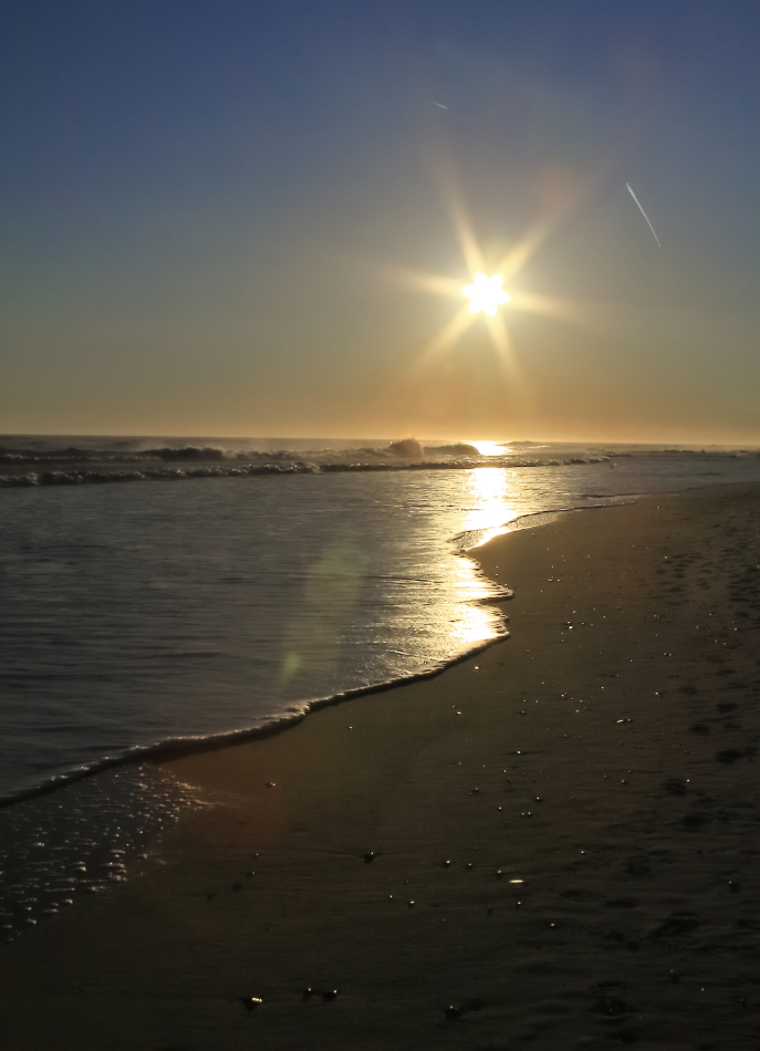 2010 01 18 IMG 7021e
