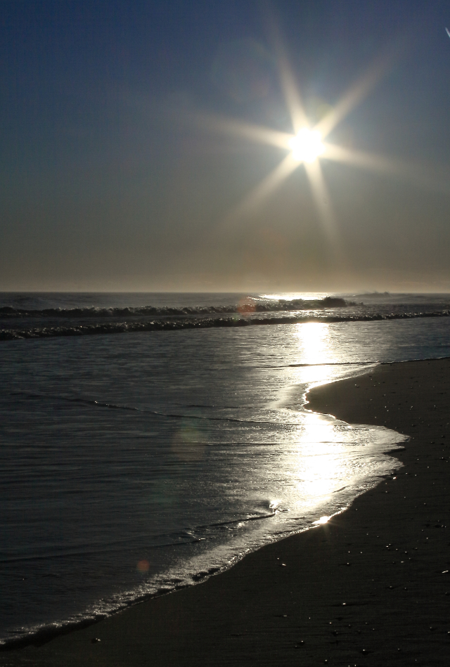 2010 01 18 IMG 7023e
