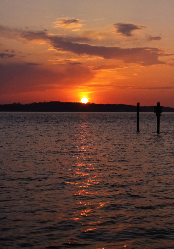 2010 04 22 IMG 9999 232e