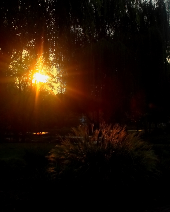 2010 09 24 IMG 09831