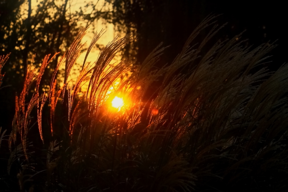2010 09 24 IMG 09868