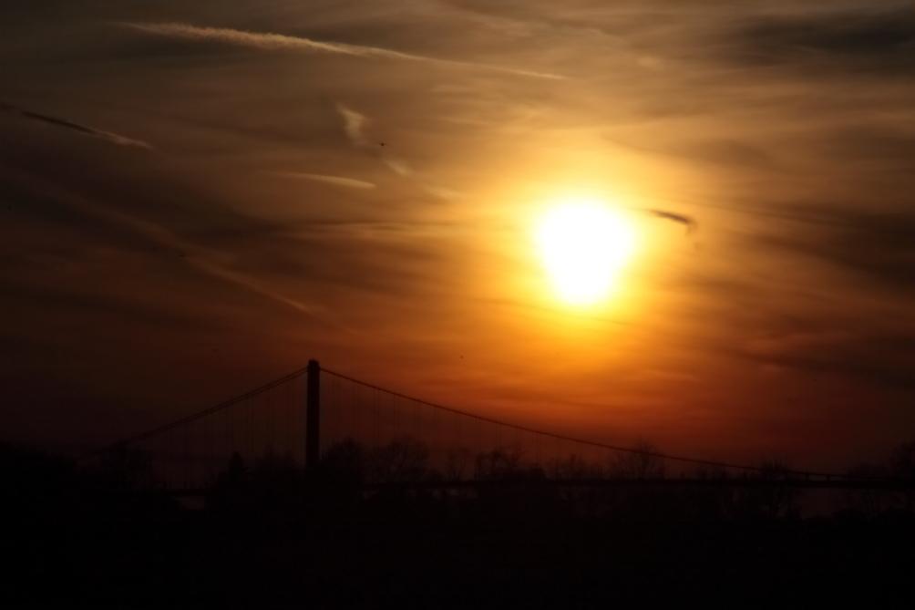 2011 01 16 IMG 17415