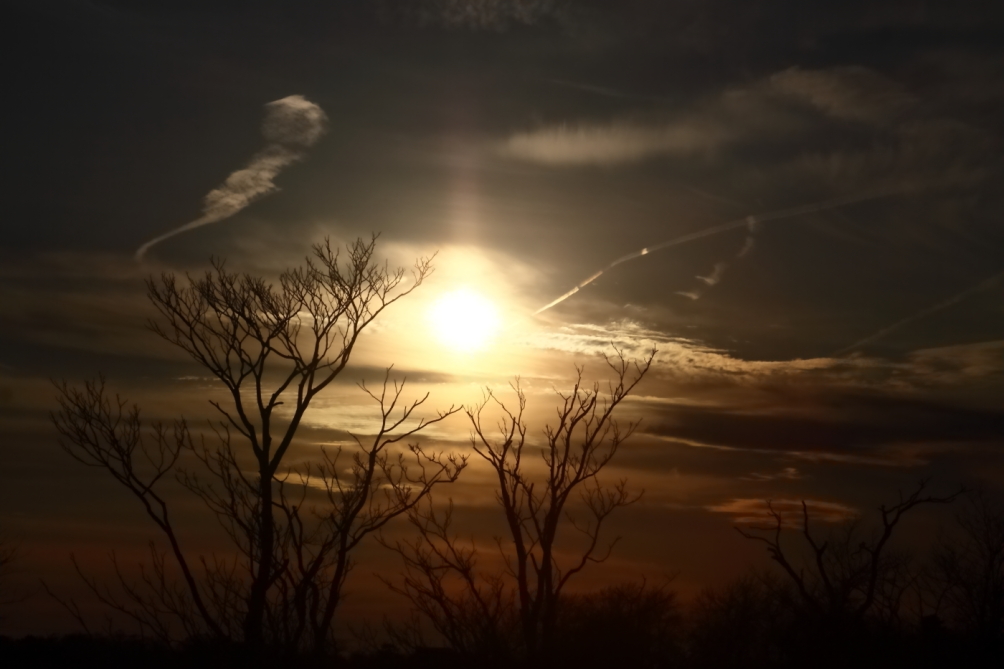 2012 02 28 6938