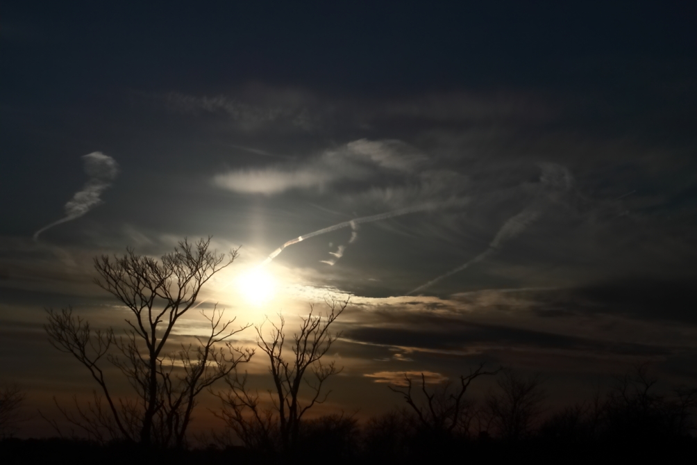 2012 02 28 6940