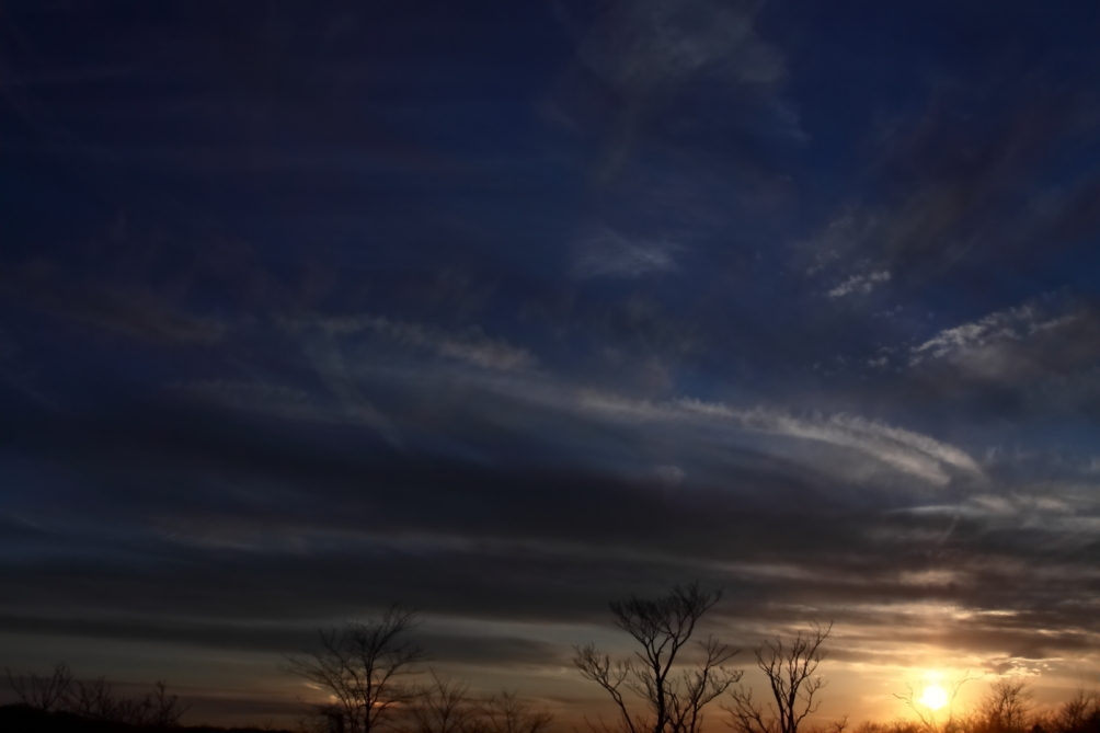 2012 02 28 6988