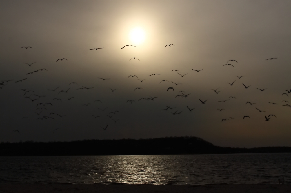 2013 02 02 IMG 3463