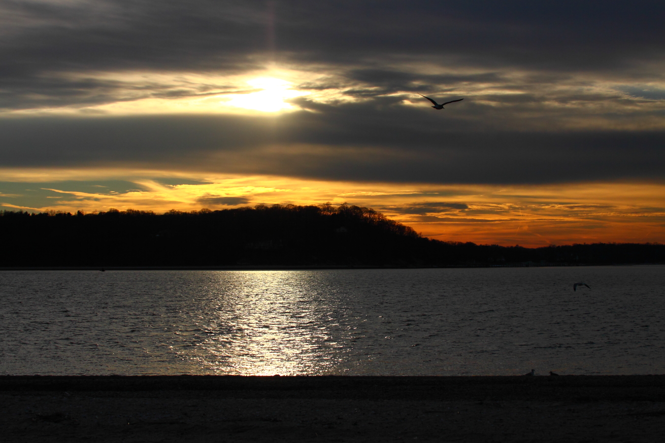2015 01 17 HTP 000019829e