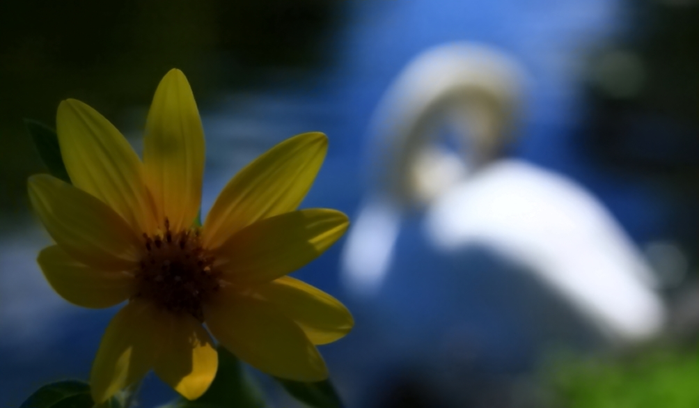 2010 09 04 IMG 06722c