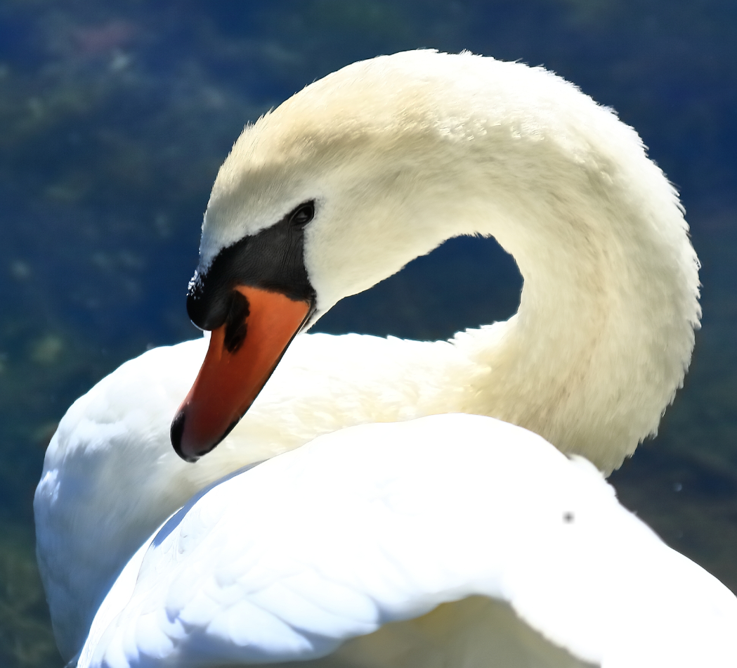 2010 09 04 IMG 06811e