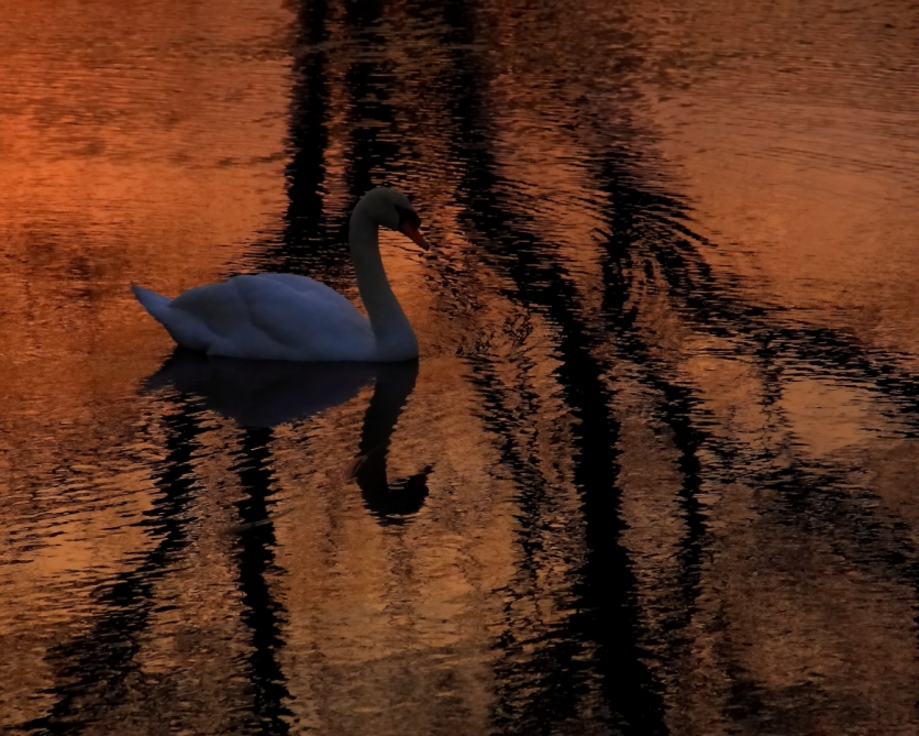 2011 04 04 IMG 27120e