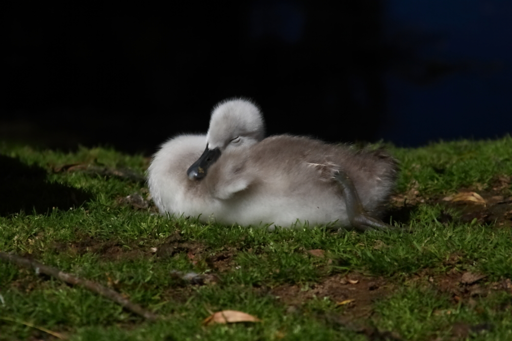 2012 05 18 3127