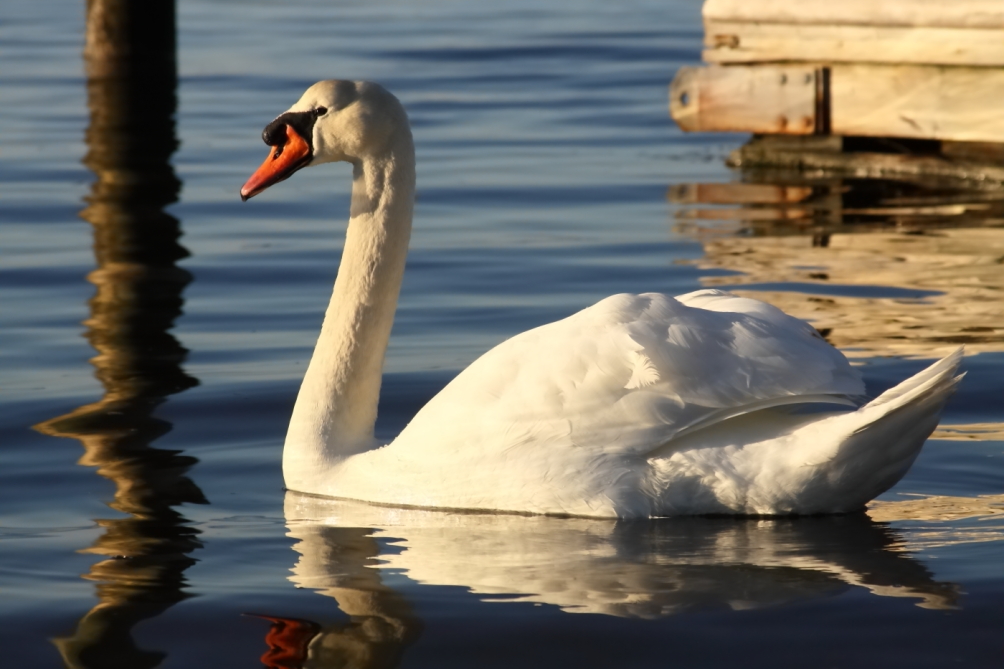 2013 03 09 IMG 8970