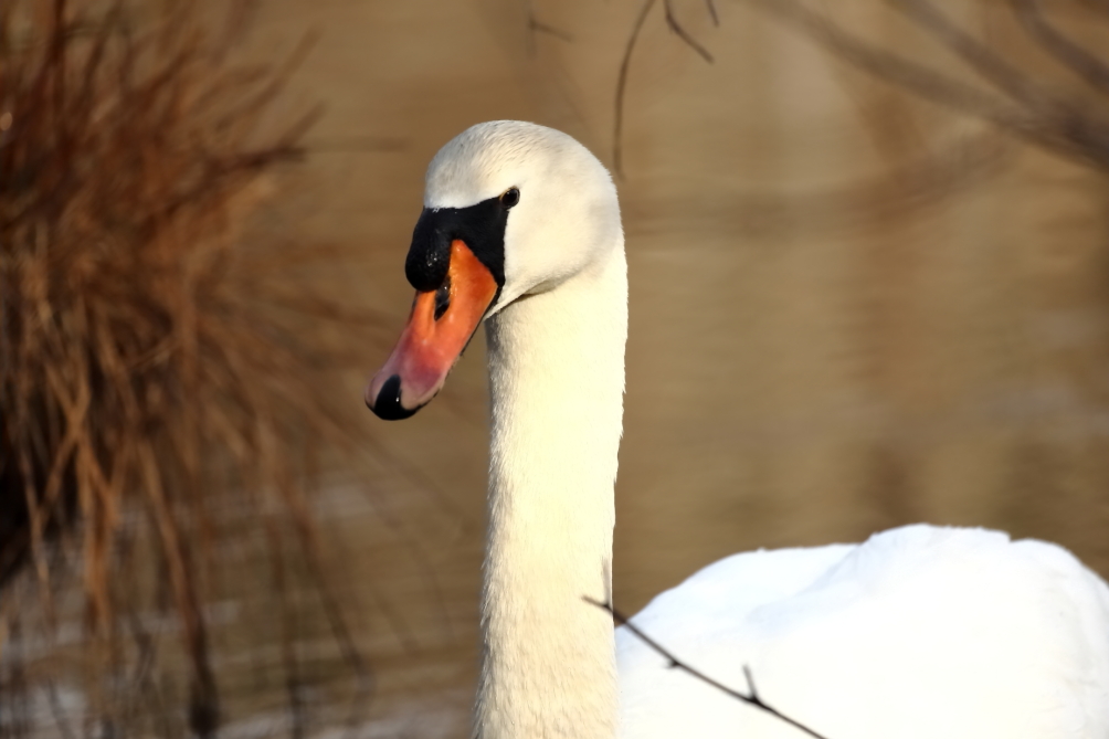 2013 03 31 IMG 01186e
