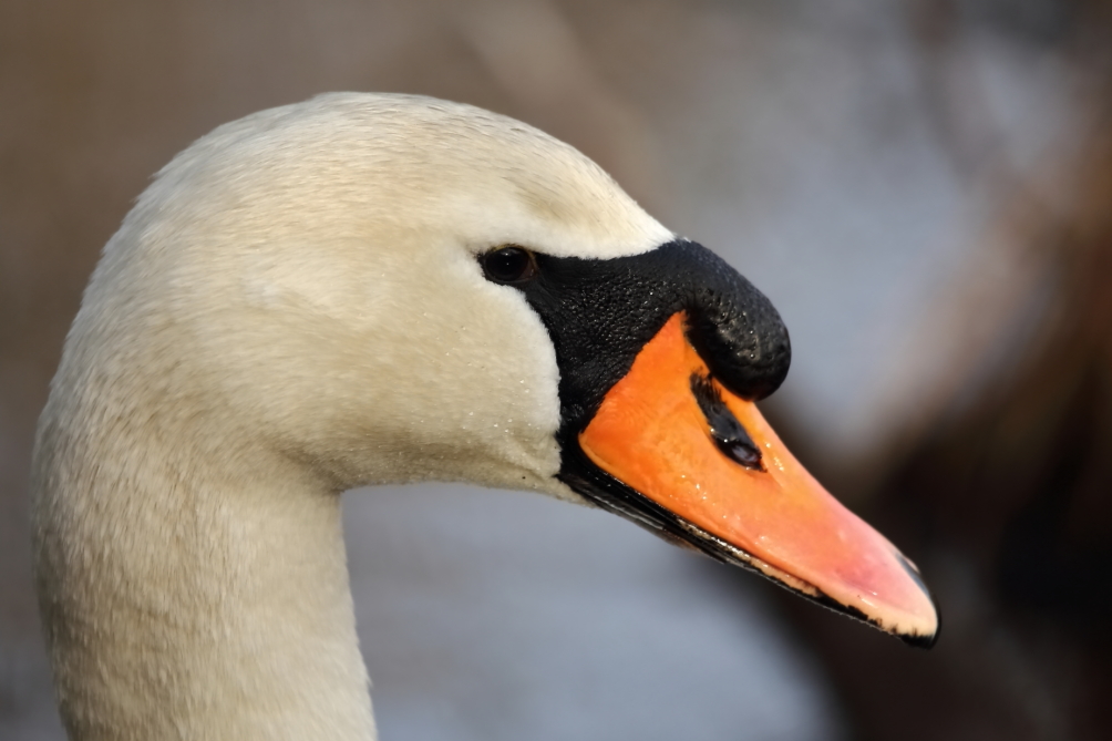 2013 03 31 IMG 01195e