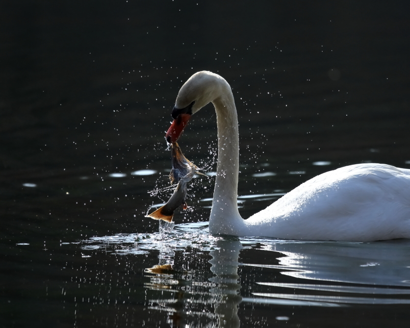 2013 03 31 IMG 01368e