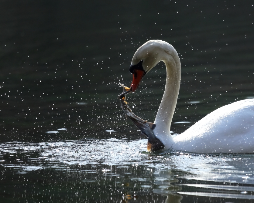 2013 03 31 IMG 01370e