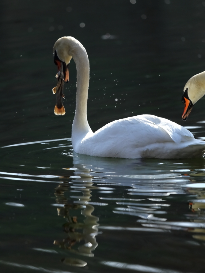 2013 03 31 IMG 01390e