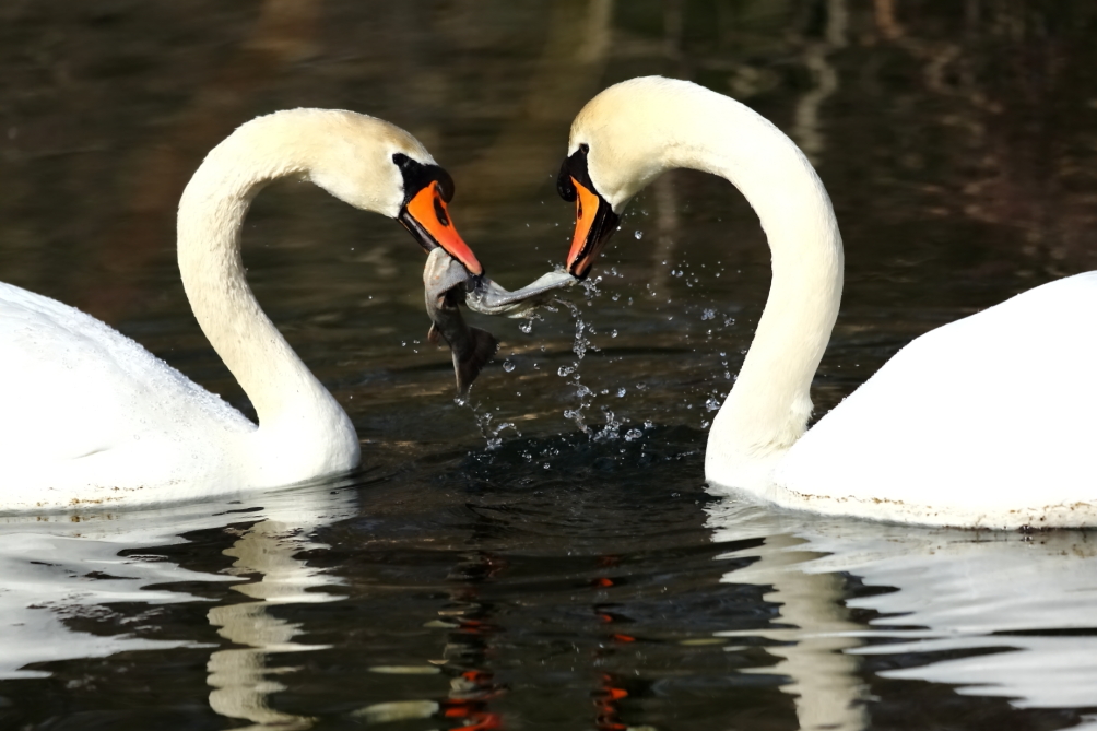 2013 03 31 IMG 01478e