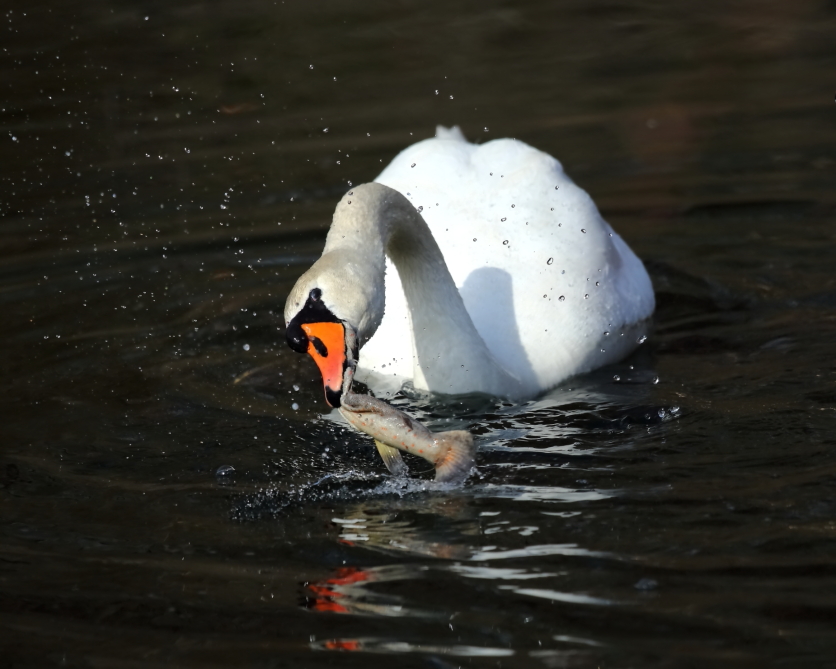2013 03 31 IMG 01487e