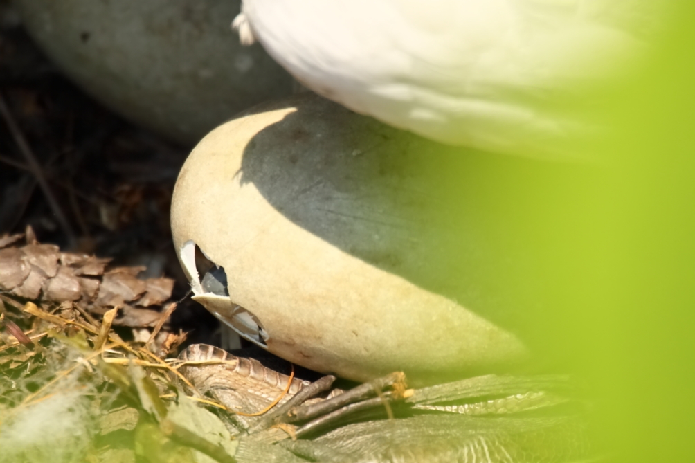 2013 05 30 IMG 07987