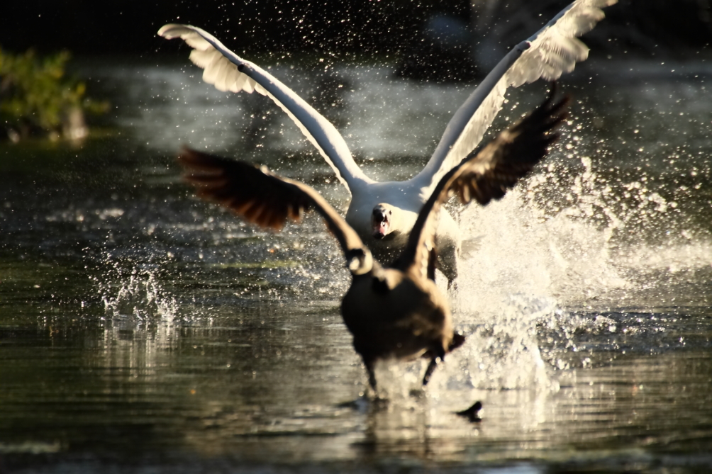 2013 06 05 IMG 09059
