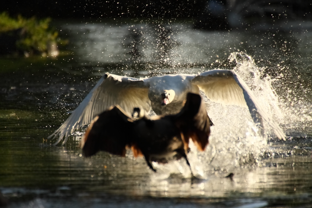 2013 06 05 IMG 09060
