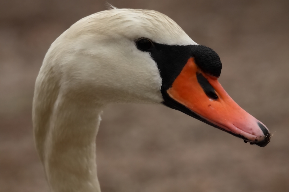 2014 04 02 HTP 41305
